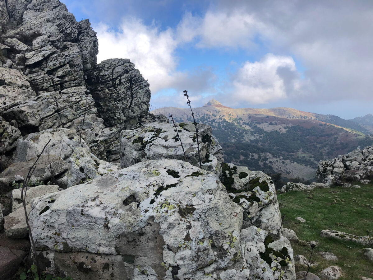 Στο Λεπέτυμνο. Στο βάθος η Βίγλα. Φωτ.: Μουσείο Φυσικής Ιστορίας Απολιθωμένου Δάσους Λέσβου.