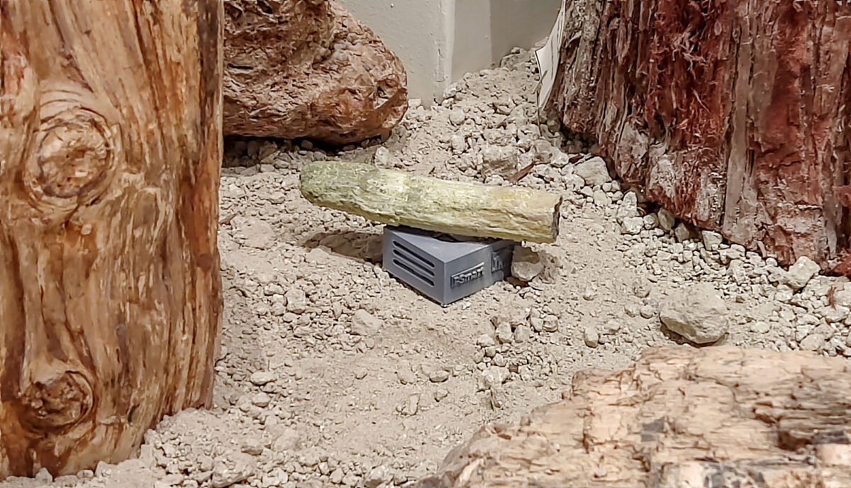 Πρωτοποριακά εργαλεία για την προστασία των εκθεμάτων από το Απολιθωμένο Δάσος