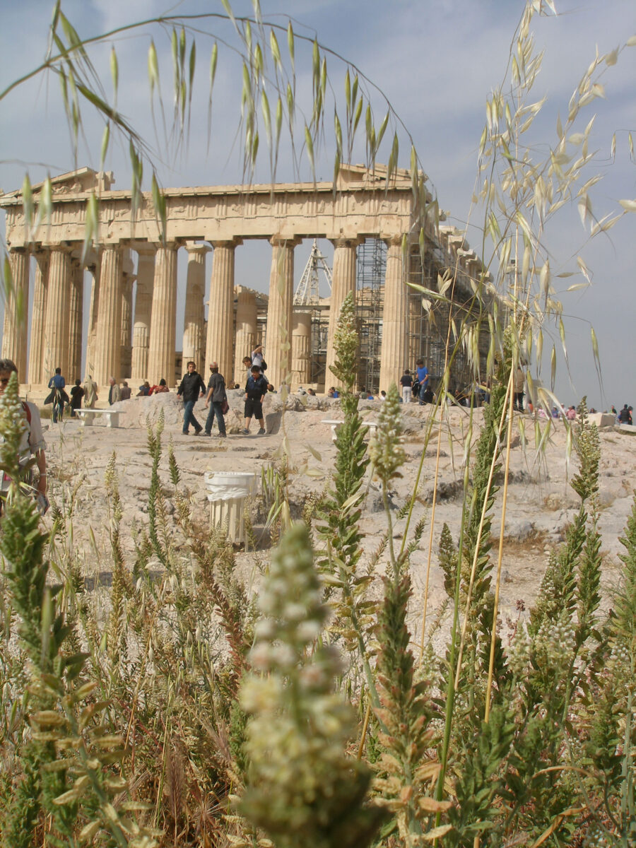 Από το βιβλίο «Στα μονοπάτια της Ακρόπολης» (φωτ.: Γρηγόρης και Λάμπρος Τσούνης).