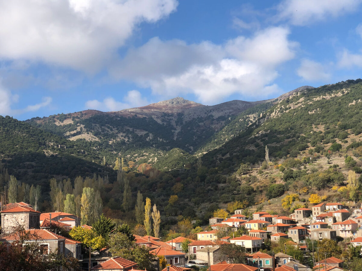 Η Πελόπη και η κορυφή της Βίγλας. Φωτ.: Μουσείο Φυσικής Ιστορίας Απολιθωμένου Δάσους Λέσβου.