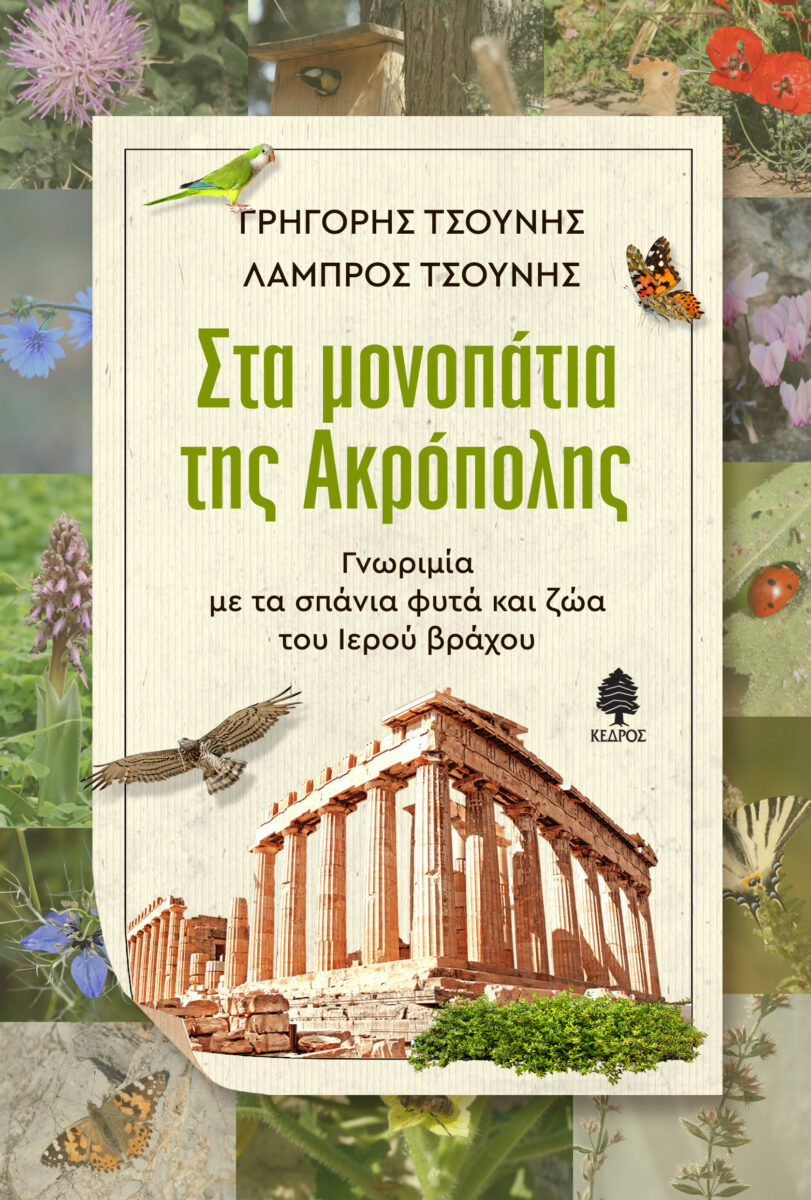 Το εξώφυλλο της έκδοσης.