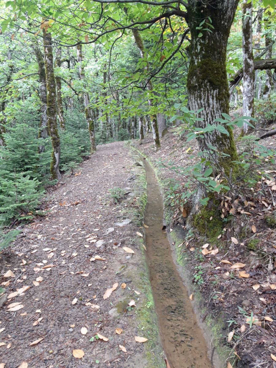Η παραδοσιακή πρακτική της άρδευσης με σηκωμένο αυλάκι στο Κυριακοχώρι Φθιώτιδας. Φωτ.: ΥΠΠΟΑ.