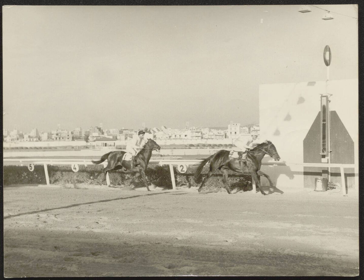 Ιπποδρομίες. Συλλογή Γιάννη Λάμπρου (πηγή εικόνας: ΑΠΕ-ΜΠΕ).