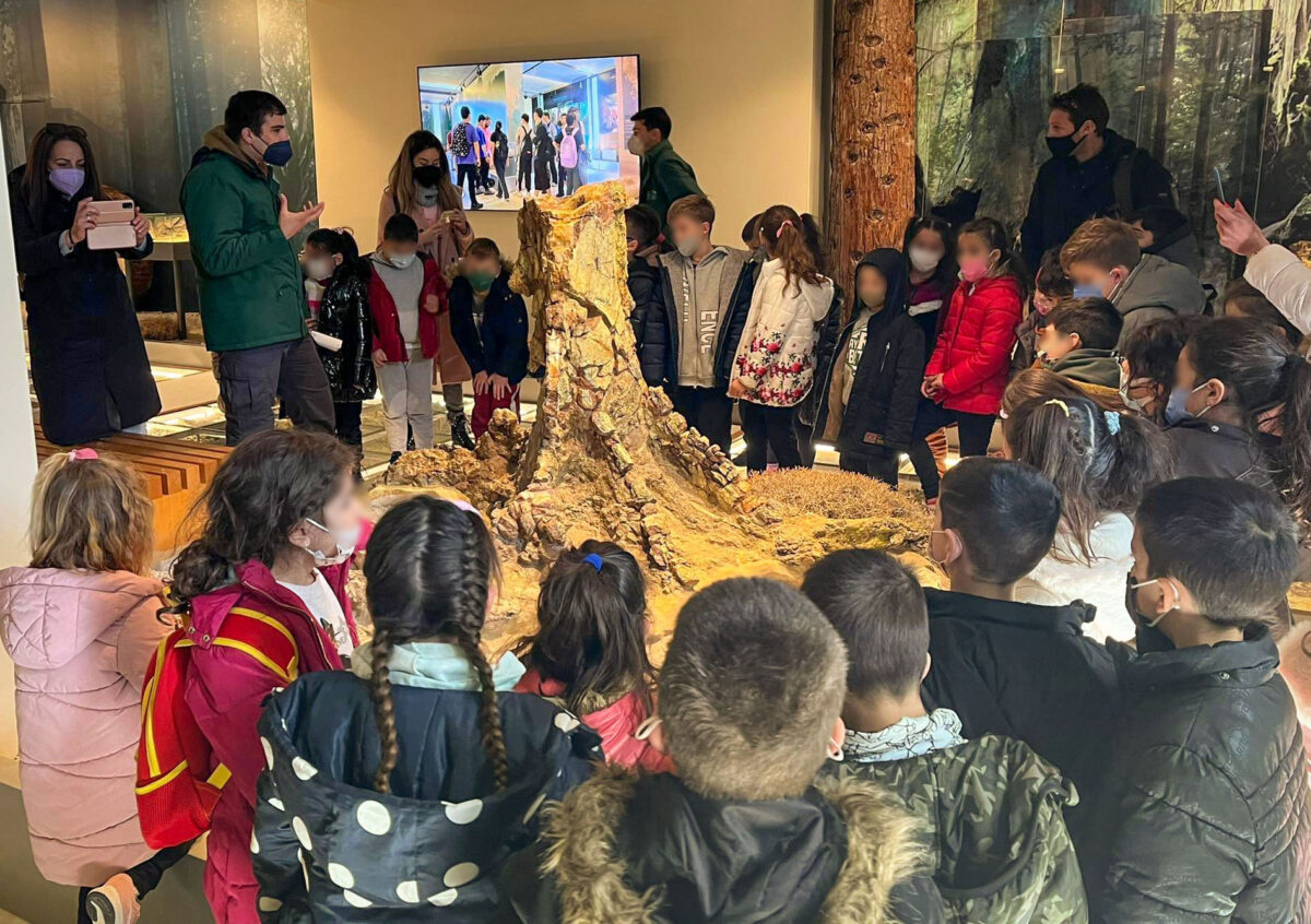 Από το εκπαιδευτικό πρόγραμμα του Μουσείου Φυσικής Ιστορίας Απολιθωμένου Δάσους Λέσβου «Μικροί Παλαιοντολόγοι».