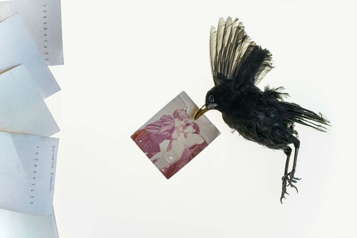 Έργο της Κατερίνας Καλούδη από την έκθεση «Αδειάζοντας το σπίτι των γονιών μου».