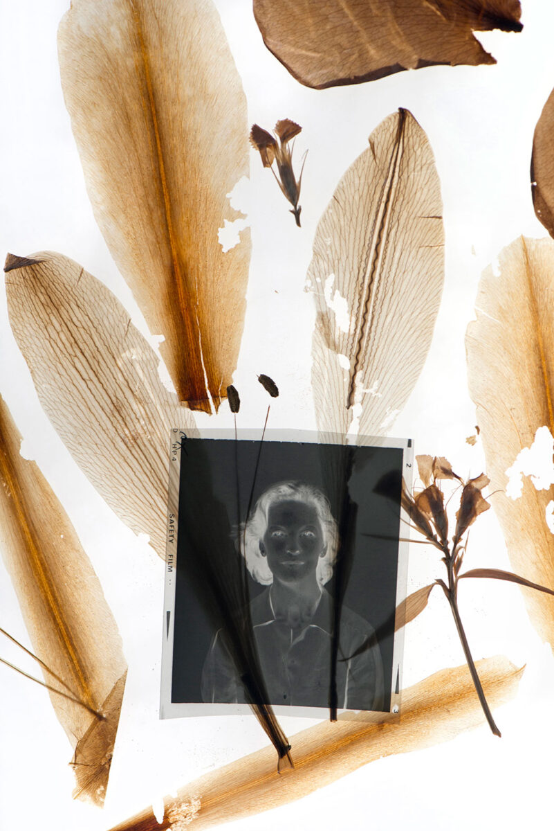 Έργο της Κατερίνας Καλούδη από την έκθεση «Αδειάζοντας το σπίτι των γονιών μου».