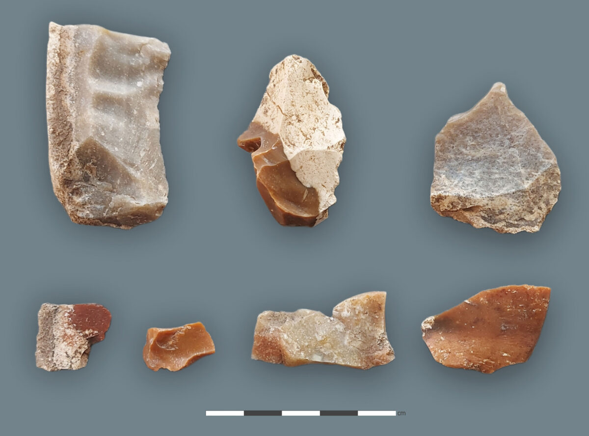 Απολεπισμένο υλικό (πηγή εικόνας: Τμήμα Αρχαιοτήτων Κύπρου).