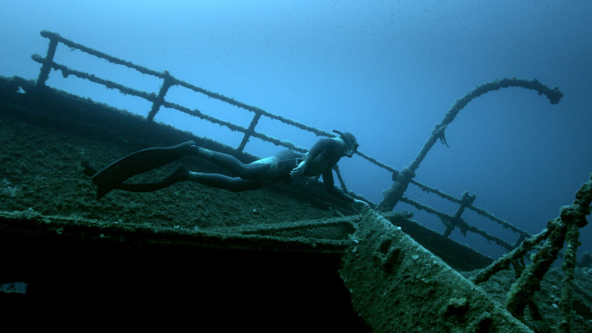 Στιγμιότυπο από την ταινία «The Lions of Lissa» (Ιταλία, 2019, 76’).