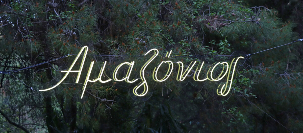 Δημήτρης Τσουμπλέκας, «Αμαζόνιος». Φωτ.: Άννα Πρίμου.