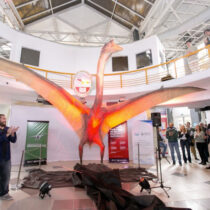 Αργεντινοί ερευνητές ανακάλυψαν νέο είδος ιπτάμενου ερπετού