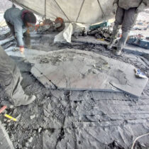 Απολίθωμα εγκύου ιχθυόσαυρου εντοπίστηκε σε παγετώνα