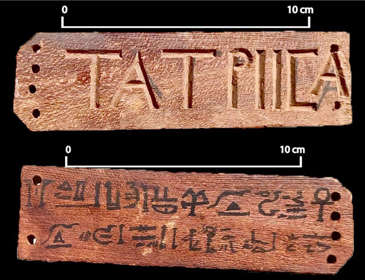 Ευρήματα από την ανασκαφή στην περιοχή Γκαμπάλ Ελ Χαρίντι (φωτ.: Υπουργείο Αρχαιοτήτων της Αιγύπτου).