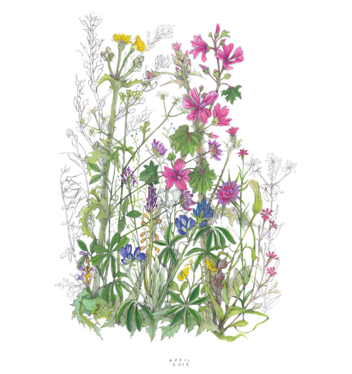 Σχέδιο της Τζούντιθ Άλλεν-Ευσταθίου από την έκδοση «Χαρτογραφώντας το μονοπάτι - Mapping the Walk». Πηγή εικόνας: ΑΠΕ-ΜΠΕ.