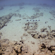 Το Παυλοπέτρι Λακωνίας αποκτά… ζωή
