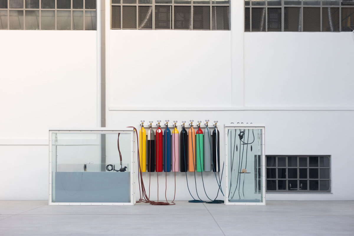 Damien Hirst (γενν. 1965, Μπρίστολ, Ηνωμένο Βασίλειο), «Greetings from the Gutter/Avoiding the Inevitable», 1994. Γυαλί, βαμμένο ατσάλι, λάστιχο σιλικόνης, φιάλες αερίου, ροοστάτες, σωλήνες από μπρούντζο και λάστιχο, ακρυλικό, MDF, μάσκες αερίου, οροί, ενδοφλέβιοι καθετήρες, σάκοι απορροής, βελόνα και άγκιστρο. Διαστάσεις μεταβλητές. © Damien Hirst and Science Ltd. All rights reserved, DACS 2022. Installation View «Dream On», 2022. Βουλή των Ελλήνων + NEON στο πρώην Δημόσιο Καπνεργοστάσιο. Φωτ.: © Ναταλία Τσουκαλά. Ευγενική Παραχώρηση NEON.