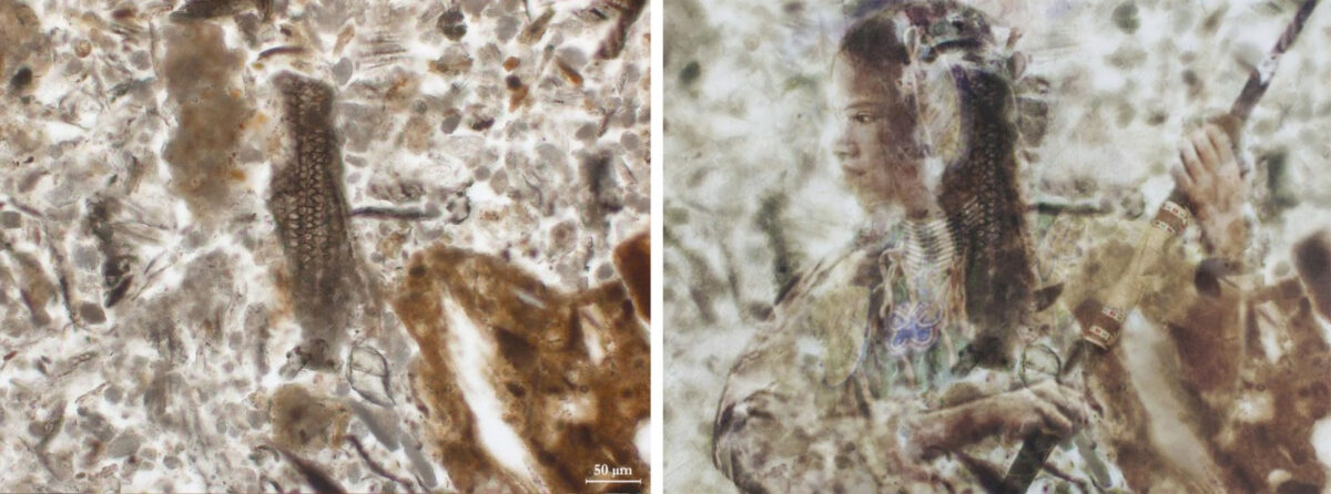 Ινδιάνα. Από την έκθεση «Μετασχηματίζοντας το αόρατο: από την αρχαιολογική φωτομικρογραφία στην ψηφιακή ζωγραφική» στο Αρχαιολογικό Μουσείο Θεσσαλονίκης.