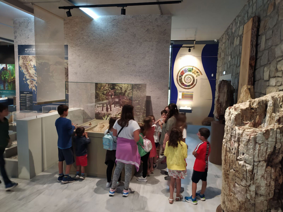 Τα παιδιά στο Μουσείο (πηγή εικόνας: Μουσείο Φυσικής Ιστορίας Απολιθωμένου Δάσους Λέσβου).