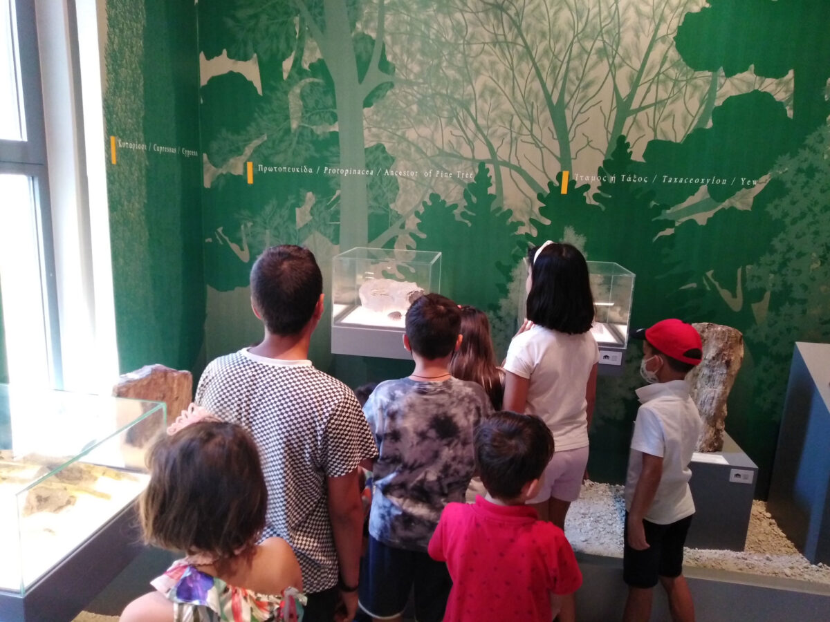 Παιδιά ηλικίας από 3 έως 11 ετών έλαβαν μέρος στο εκπαιδευτικό πρόγραμμα «Η ζωή του Δεινοθηρίου στα υποτροπικά δάση της Λέσβου» (πηγή εικόνας: Μουσείο Φυσικής Ιστορίας Απολιθωμένου Δάσους Λέσβου).