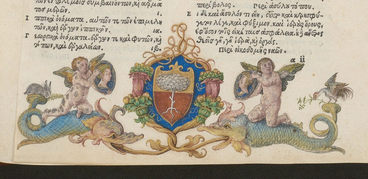 Η μινιατούρα που αποδίδεται στον Γερμανό καλλιτέχνη Άλμπρεχτ Ντίρερ (πηγή εικόνας: Oldenburg State Library).