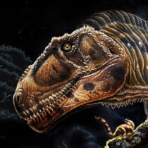 Νέο είδος γιγάντιου δεινόσαυρου με μικρά χέρια