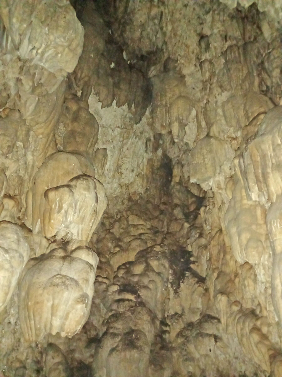 Άποψη του σπηλαίου που εντοπίστηκε στο μονοπάτι Μηναγιώτικο Natura 2000, στη νότια Μεσσηνία (φωτ.: Ινστιτούτο Πολιτισμού Μεσσηνίας).