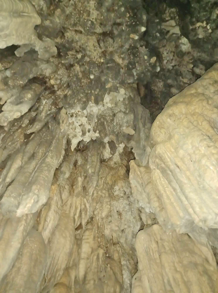 Άποψη του σπηλαίου που εντοπίστηκε στο μονοπάτι Μηναγιώτικο Natura 2000, στη νότια Μεσσηνία (φωτ.: Ινστιτούτο Πολιτισμού Μεσσηνίας).