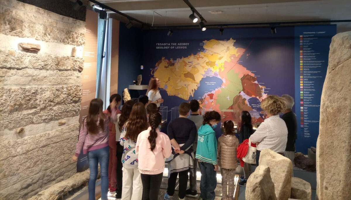 Εκπαιδευτικό πρόγραμμα στο Μουσείο Φυσικής Ιστορίας Απολιθωμένου Δάσους Λέσβου.