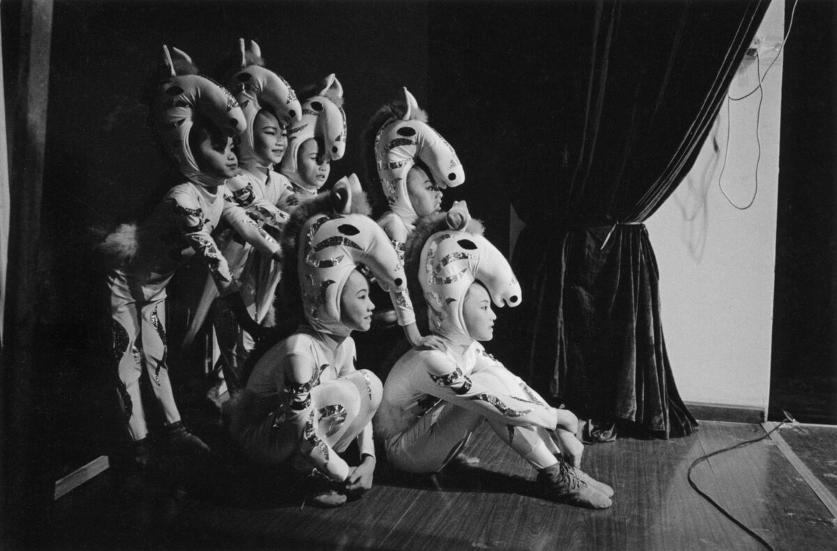 Φωτογραφία του Παύλου Κοζαλίδη από την έκθεση «Το σπίτι των πεταλούδων». © Παύλος Κοζαλίδης.