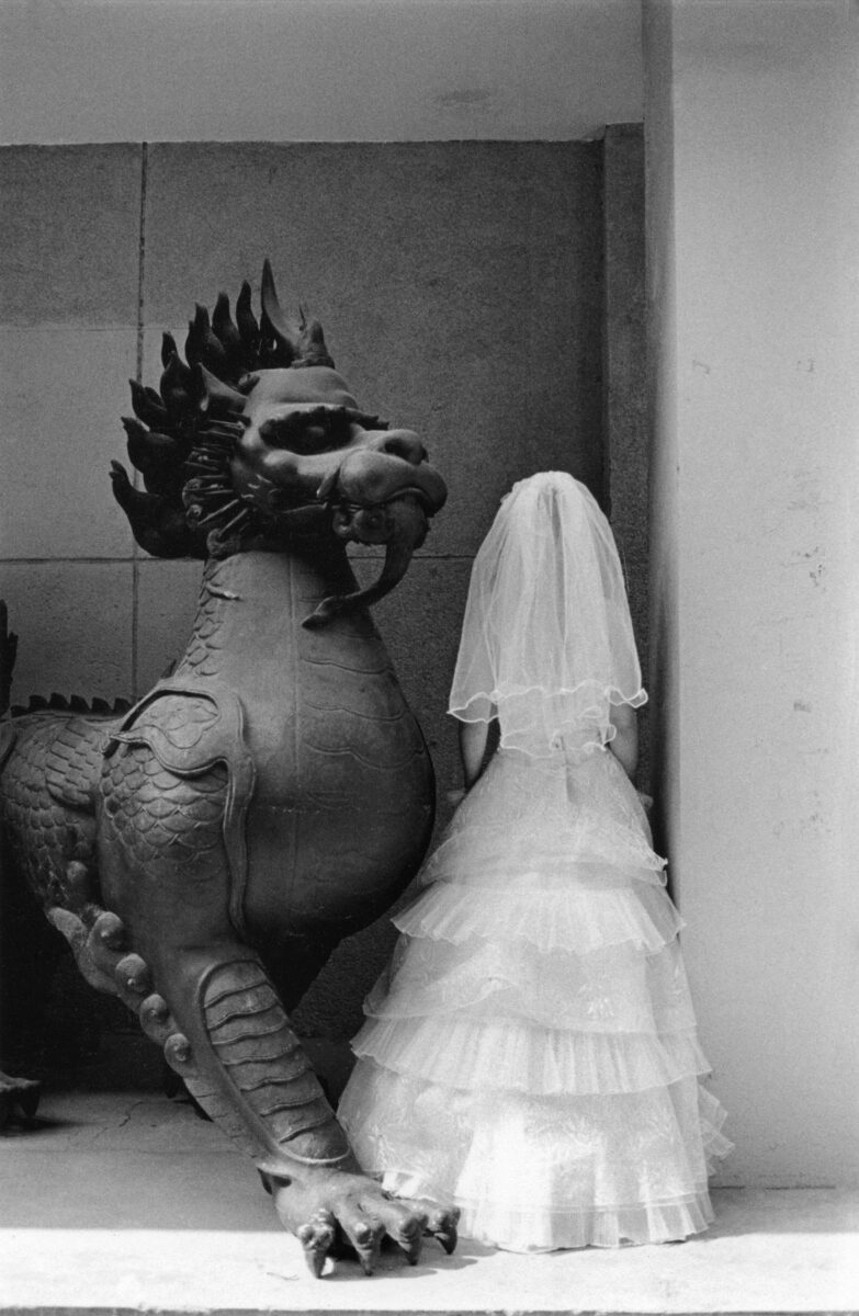 Φωτογραφία του Παύλου Κοζαλίδη από την έκθεση «Το σπίτι των πεταλούδων». © Παύλος Κοζαλίδης.