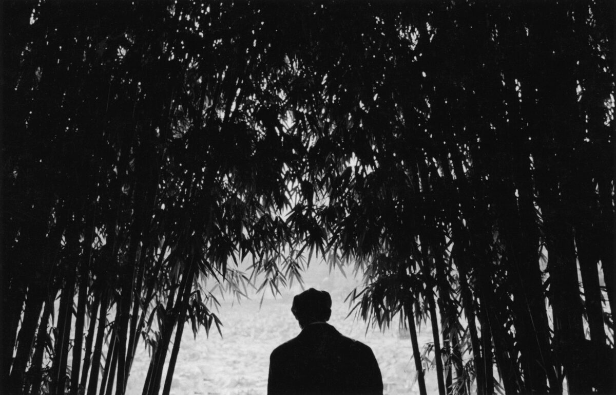 Φωτογραφία του Παύλου Κοζαλίδη από την έκθεση «Το σπίτι των πεταλούδων». © Παύλος Κοζαλίδης.