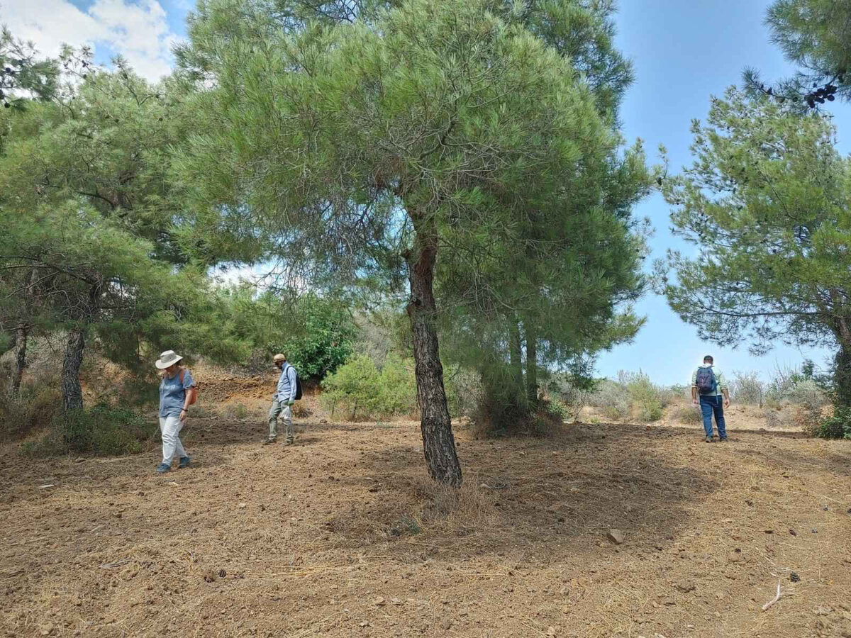 Εικ. 2. Η ομάδα κατά τη διάρκεια επιφανειακής έρευνας στην περιοχή κοντά στο μεταλλείο Πλαθκιές (πηγή εικόνας: Τμήμα Αρχαιοτήτων Κύπρου).