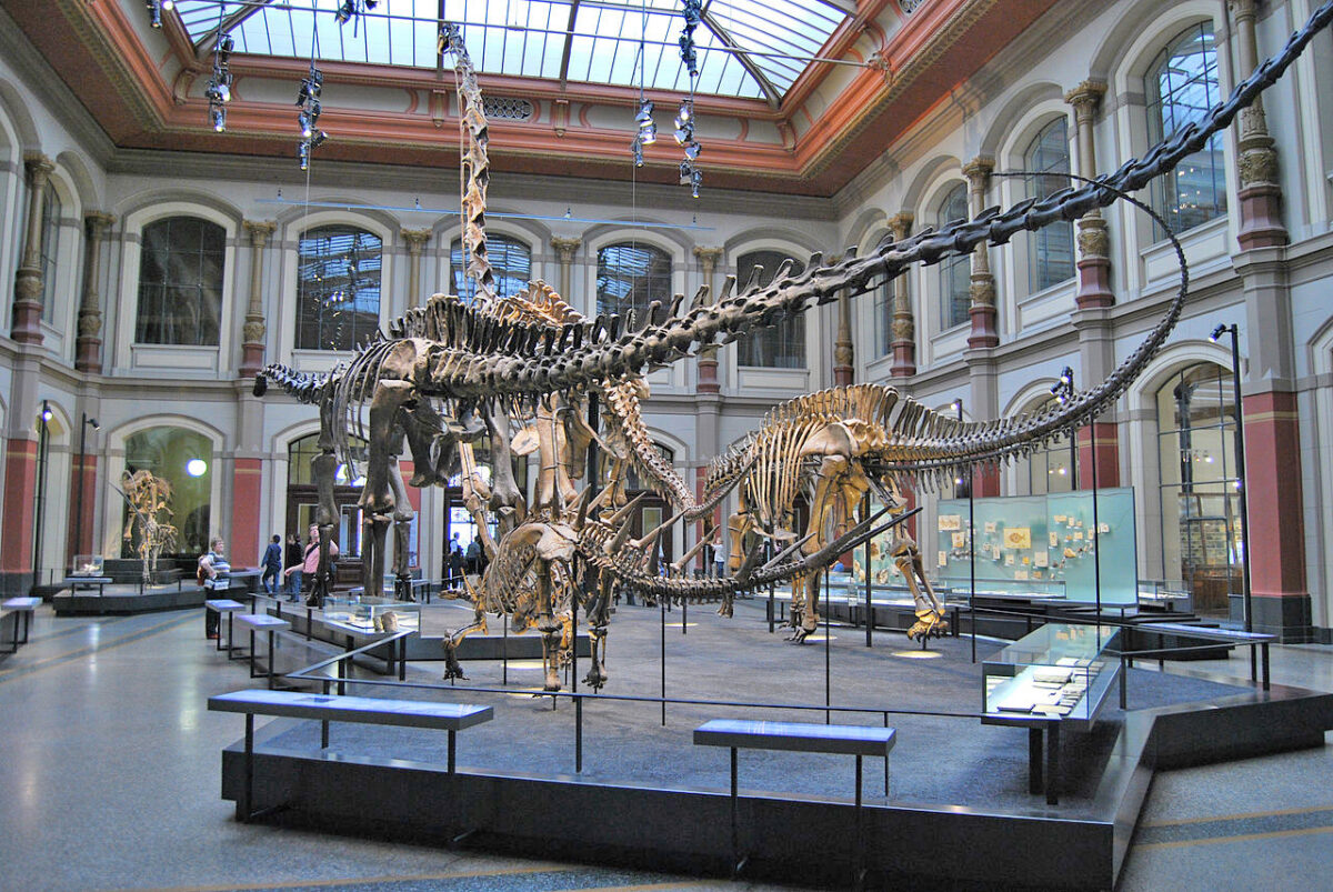 Η Αίθουσα των Δεινόσαυρων στο Μουσείο Φυσικής Ιστορίας του Βερολίνου (πηγή εικόνας: Wikipedia).