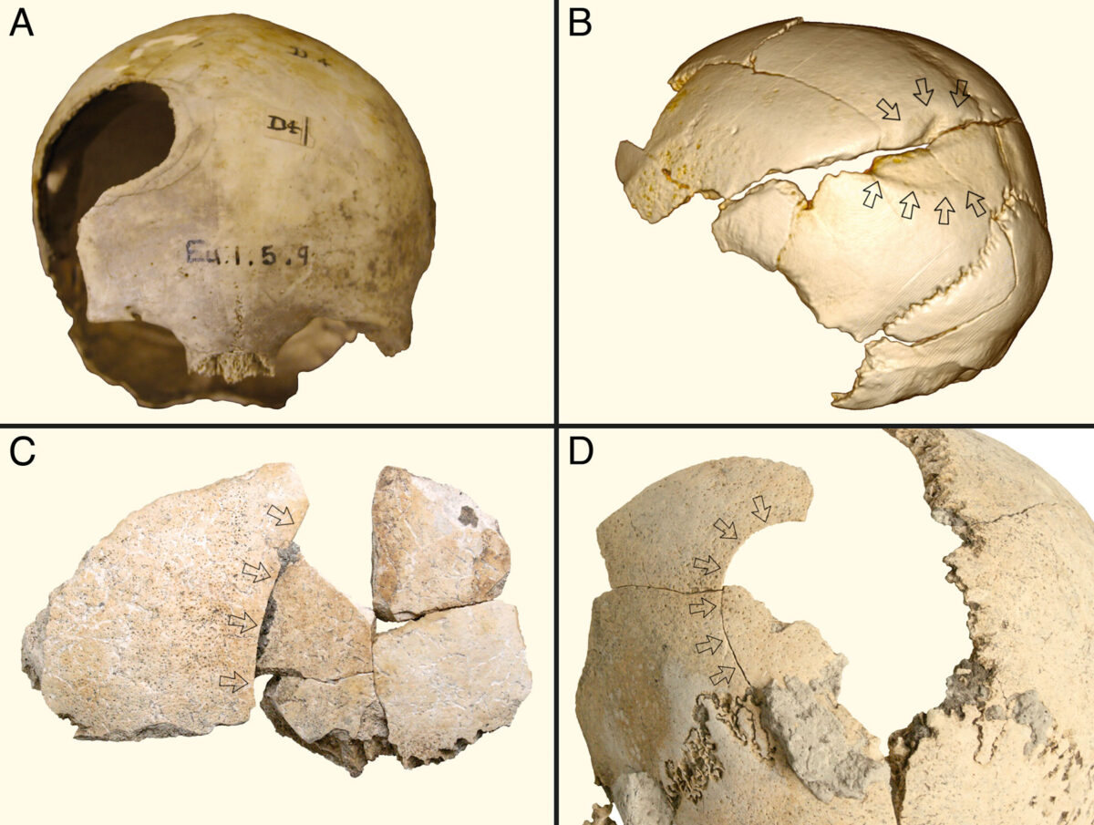 Η βία ήταν εξαπλωμένη στη νεολιθική αγροτική κοινωνία της Ευρώπης
