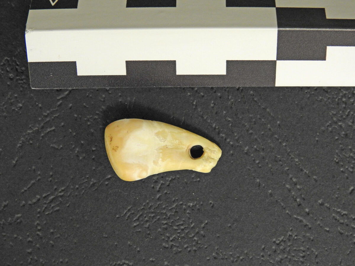 Φως στο αρχαίο ανθρώπινο DNA από παλαιολιθικό κρεμαστό