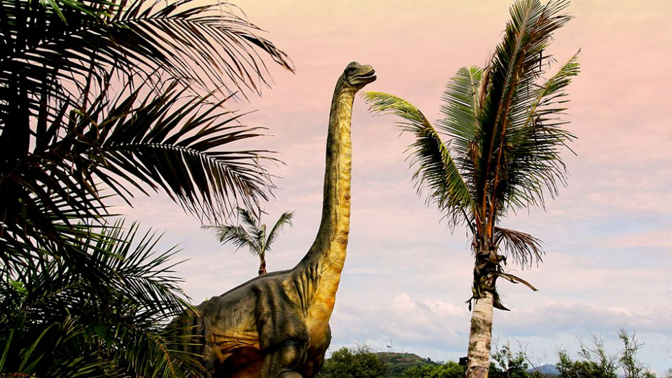 Νέα μελέτη ρίχνει φως στη γενεαλογική εξέλιξη των σαυρόποδων