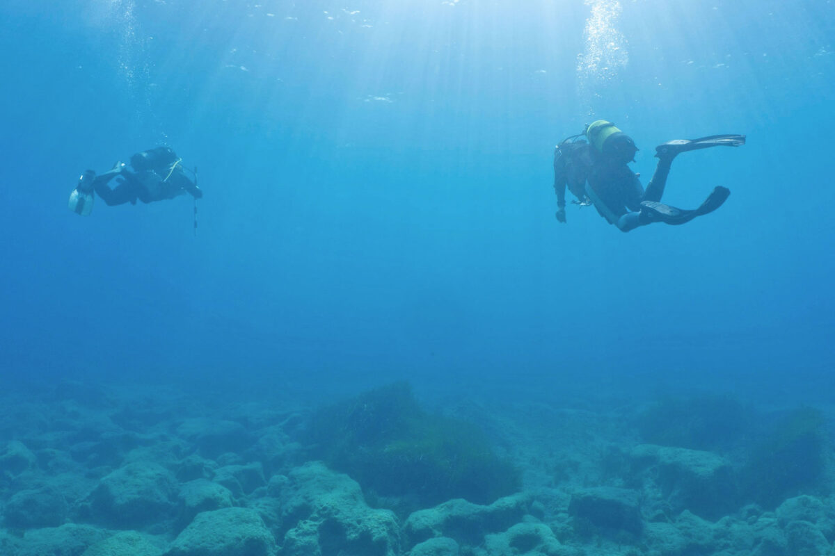 Διαδικασία επισκόπησης σε γραμμές με ίση απόσταση μεταξύ των δυτών (φωτ.: Carmen Obied). 