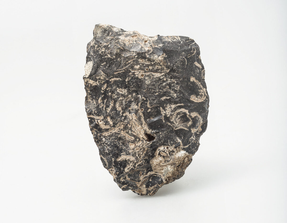 Εργαλείο με αμφιπρόσωπη λάξευση, πιθανώς σπασμένος χειροπέλεκυς μετασκευασμένος σε κοπέα, Ροδαφνίδια, Λέσβος, ελάχιστη ηλικία 300.000-200.000 χρόνια. Διαγενετικός πυριτόλιθος. Ανασκαφή Πανεπιστημίου Κρήτης. © ΕΦΑ Λέσβου, Αρχαιολογικό Μουσείο Μυτιλήνης, αρ. εισ. ΠΛΘ1. Φωτ.: Βασίλης Τσώνης.