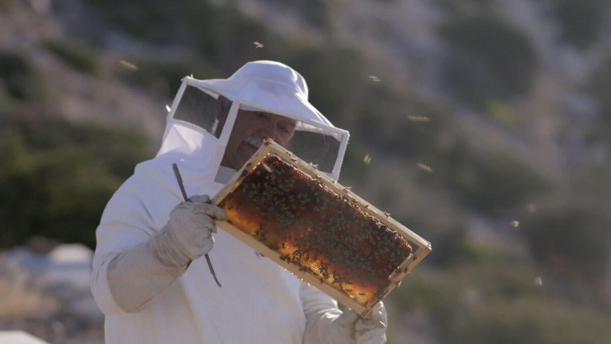 Μελισσοκόμος στη Σίκινο. Πηγή εικόνας: Μουσείο Κυκλαδικής Τέχνης.
