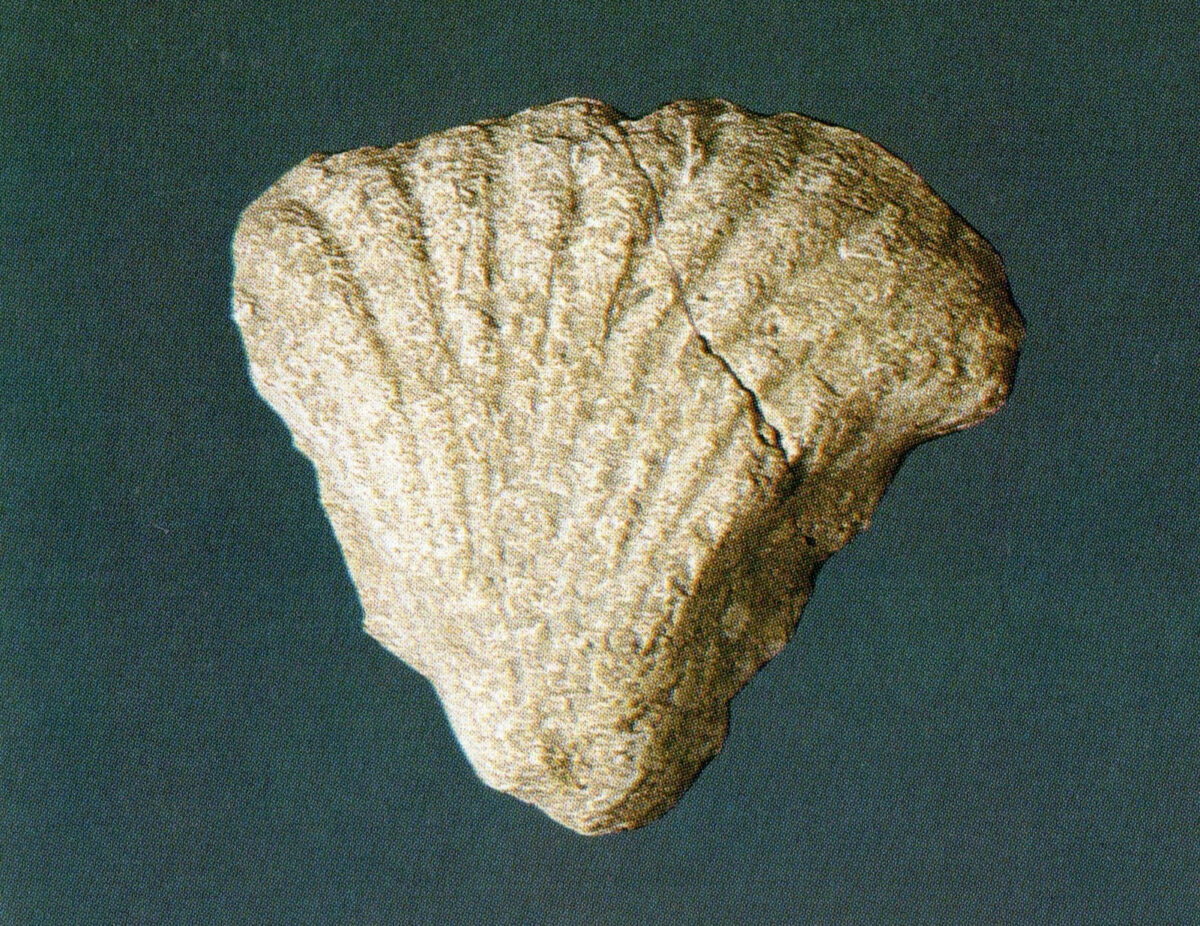 Τμήμα από ανάγλυφη τοιχογραφία του ανακτόρου. Πηγή εικόνας: ΥΠΠΟ.