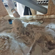 Δεσμώτες Φαλήρου: Ο αγώνας για τη διατήρηση