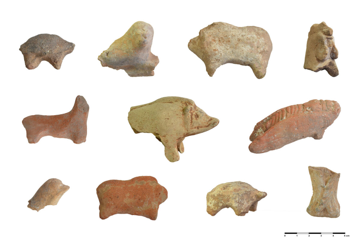 Εικ. 9. Ειδώλια ζώων (χοιρίδια, χελώνες, λέοντες, κριοί, πτηνά, τζίτζικι [πάνω δεξιά] κ.ά.). Ψηφιακή επεξεργασία εικόνας: Εύα Κολοφωτιά.