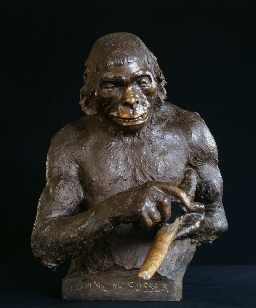 Αναπαράσταση του ανθρώπου του Πίλτνταουν. Βρυξέλλες, 1909-1914, βαμμένος γύψος, 70x62x52 εκ. Institut Royal des Sciences Naturelles de Belgique, Βέλγιο. Από την έκθεση «Fake (f)or Real».