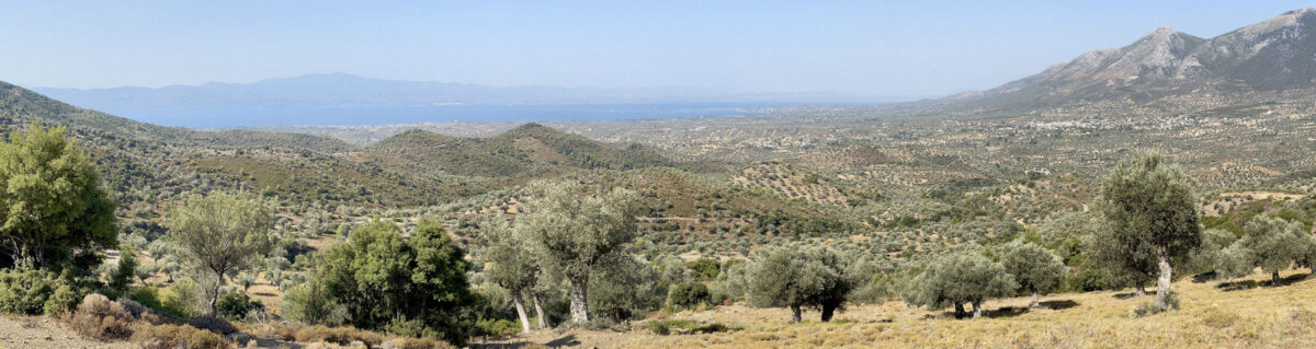Η λεκάνη απορροής του Σαρανταπόταμου, μεταξύ Αμαρύνθου και Ερέτριας, που ερευνάται στο πλαίσιο συστηματικής επιφανειακής έρευνας της ΕΑΣΕ και της ΕΦΑΕΥΒ. Φωτ.: © ΕΑΣΕ (2023).