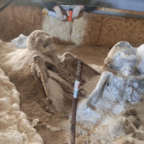 Εργασίες συντήρησης στους «Δεσμώτες του Φαλήρου»