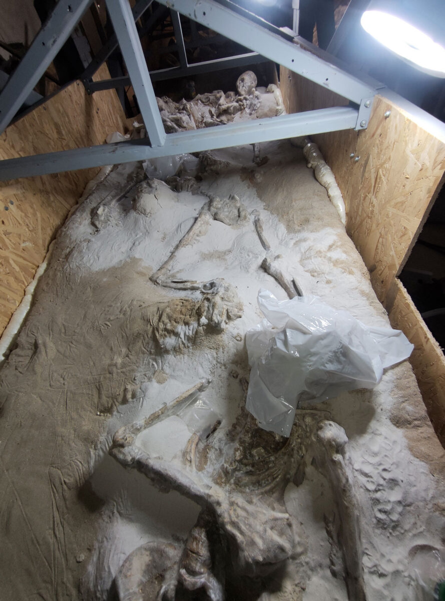 Δεσμώτες του Φαλήρου: συγκράτηση πρανών με χρήση αφρού πολυουρεθάνης. Πηγή εικόνας: ΥΠΠΟ.