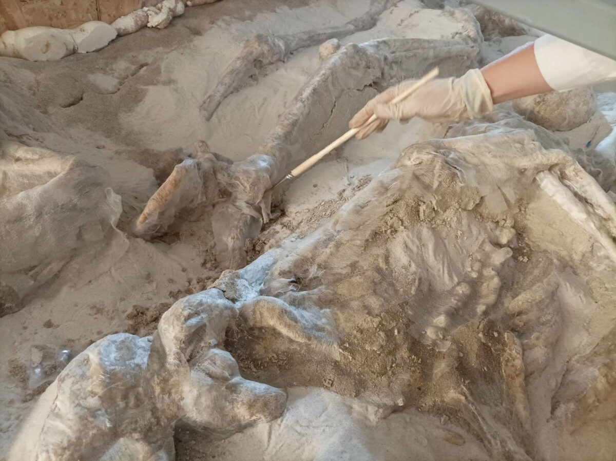 Δεσμώτες του Φαλήρου: στερεωτικές επεμβάσεις σωστικού χαρακτήρα με χρήση ακρυλικής ρητίνης και υαλοϋφάσματος. Πηγή εικόνας: ΥΠΠΟ.