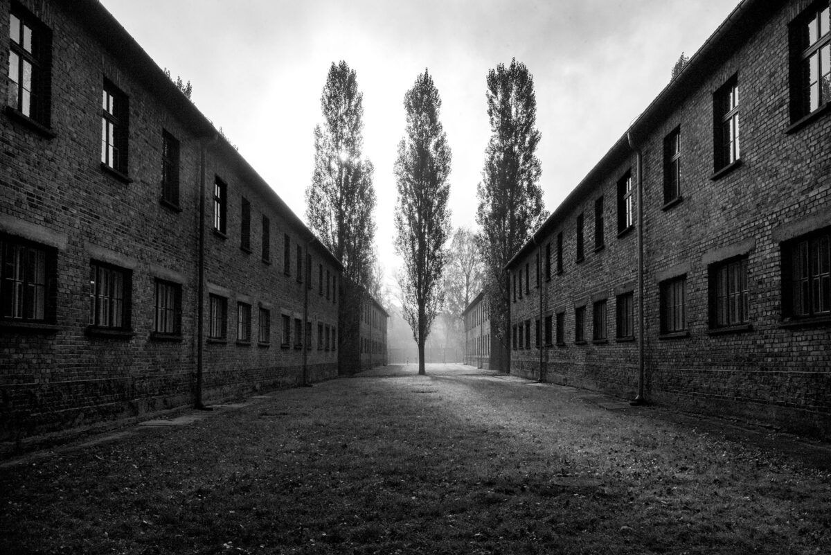 Από την έκθεση της Ρενέ Ρεβάχ «Tehom» που παρουσιάζεται στο Μουσείο Μπενάκη / Πειραιώς 138. Πηγή εικόνας: Μουσείο Μπενάκη.