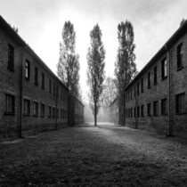 Ρενέ Ρεβάχ: Tehom