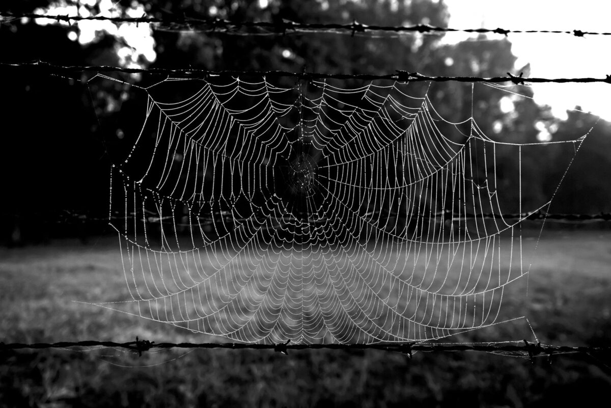 Από την έκθεση της Ρενέ Ρεβάχ «Tehom» που παρουσιάζεται στο Μουσείο Μπενάκη / Πειραιώς 138. Πηγή εικόνας: Μουσείο Μπενάκη.