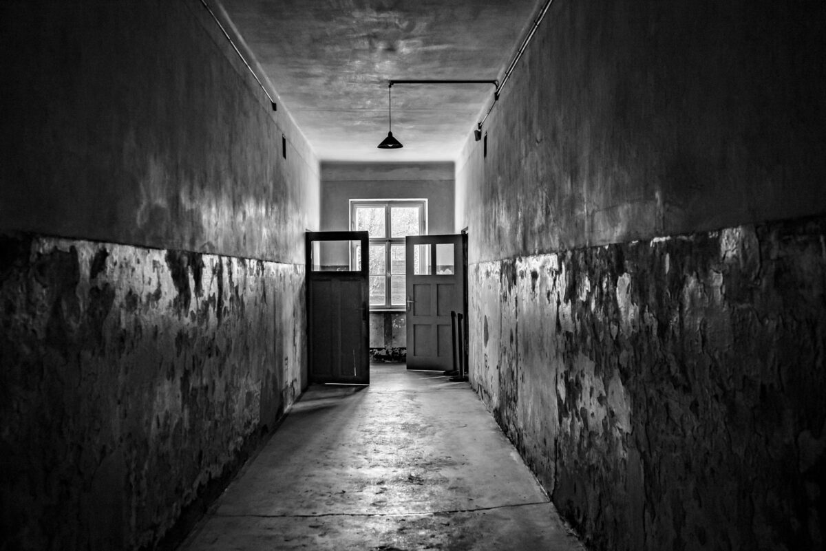 Από την έκθεση της Ρενέ Ρεβάχ «Tehom» που παρουσιάζεται στο Μουσείο Μπενάκη / Πειραιώς 138. Πηγή εικόνας: Μουσείο Μπενάκη.